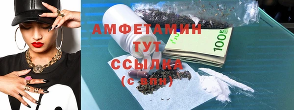 твердый Новодвинск