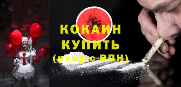 твердый Новодвинск