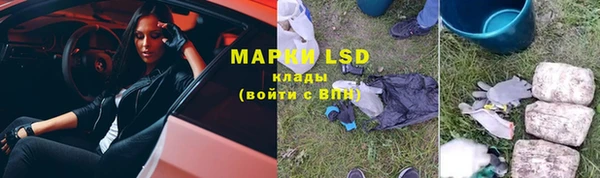 твердый Новодвинск