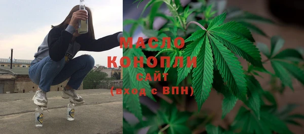 твердый Новодвинск