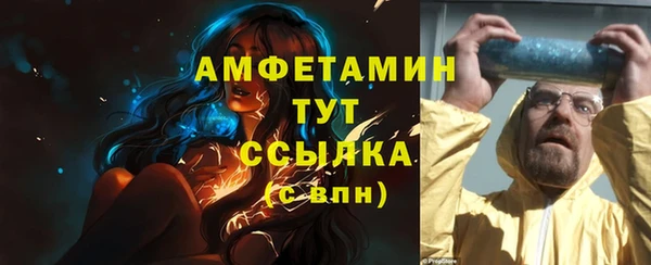 стаф Новозыбков