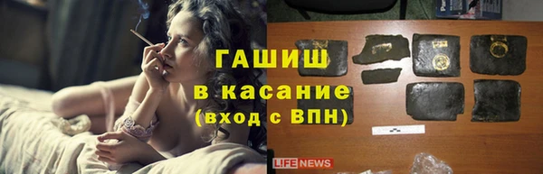 стаф Новозыбков