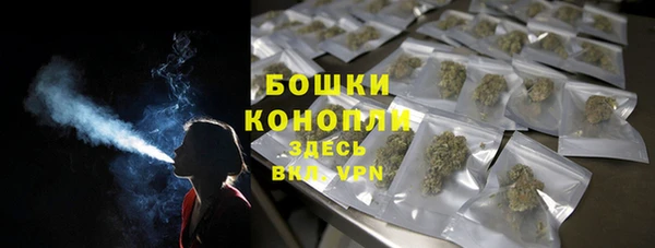 твердый Новодвинск