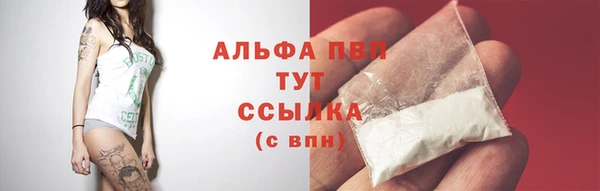 твердый Новодвинск