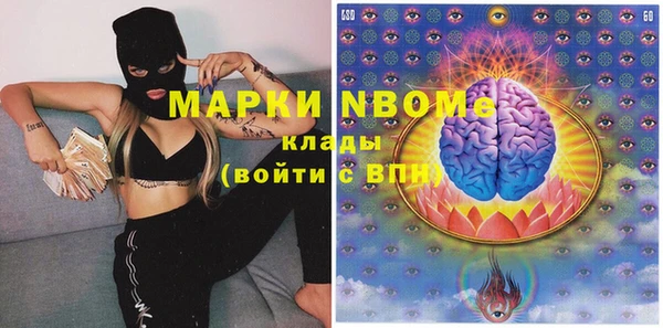 стаф Новозыбков