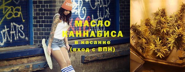 стаф Новозыбков