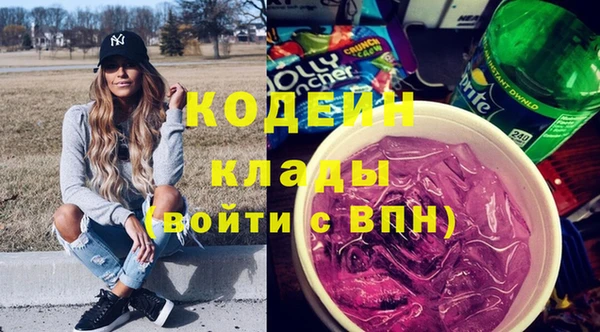 стаф Новозыбков