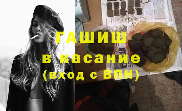 стаф Новозыбков