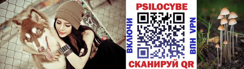 где можно купить наркотик Калтан мега вход Псилоцибиновые грибы Psilocybe